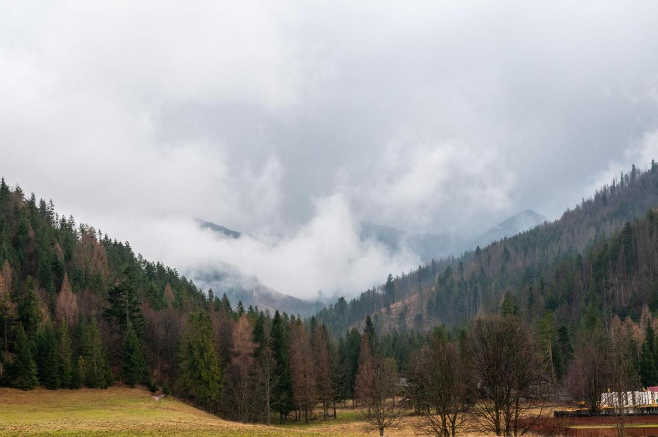 Willa Pod Nosalem III Zakopane Exteriér fotografie